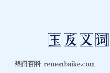 蠅糞點玉反义词是什么意思的图片